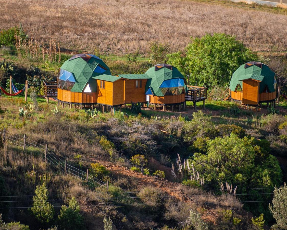 Los Nopales Glamping ซาชิกา ภายนอก รูปภาพ